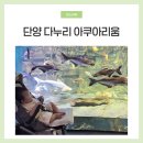 다누리 | 단양 다누리 아쿠아리움 아기랑 후기 입장료 할인 수유실 등