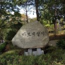 한비유통 - 서초구 바우뫼로 91 | 봄이 좋긴 하다🌸