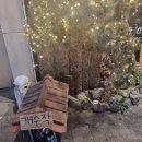 일일수작 중동롯데점 | 부천신중동술집 인기 많은 핫플 수작 중동롯데점