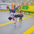 상무태권도 이미지