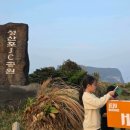 GS25 고성점 네이버블로그