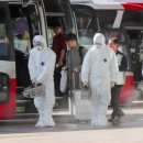 다비드 짐 이미지