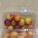 과채류마을 | 산지직송 경상도 김천 여름 제철과일 대석자두 과채팡팡 추천