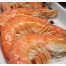 참치전문점참치바다 이미지