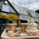 갤러리밥스 | [강원도 강릉] 강원도 강릉 카페 : 갤러리밥스 "내돈내산" "웨이팅 후기"