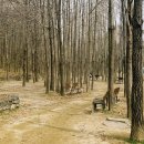 남산근린공원_R 이미지