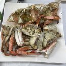 쌍둥이네 애견 | [인천/소래포구] 소래포구종합어시장 애견동반 꽃게 맛집 “서천수산” 꽃게 kg당 가격, 주차정보...