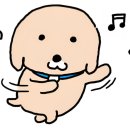 [유리창 현수막] 테이프 자국 없이 깔끔한 큐방 마감! 안락정 오픈 이벤트 실사출력 후기
