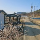 초평리경로당 네이버블로그