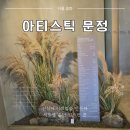 송파맘 히피펌 후기 | 문정동 미용실 아티크레 아티스틱 문정점 시로쌤