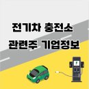 윌링스플러스 이미지