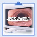 드림메디 임승길내과의원 이미지