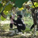 자란만마을 이미지