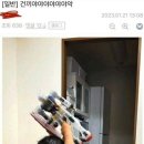 조리실패한 아이에게 조언하는 고든 램지 이미지