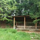 김정연농장 | 북한산국립공원 시민보호단 110차: 20170812