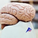 동두천한의원 | 양주시 강박증 반복 행동, 동두천시 어린이한의원 판정 기준