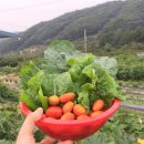 박종훈농장 이미지