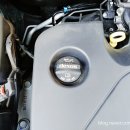 대우카포스 이미지