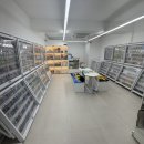 ON (온) | 서울 대림 포켓몬카드 성지! 콜렉트온(Collect On) 카드샵 방문 후기