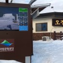 설국 태백산에 오르다. 이미지