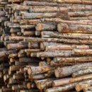 임산시장 이미지