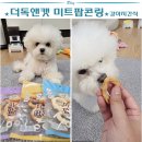 더독 | 유자의 더독앤캣 미트팝콘링 3종 오븐베이크 간식 먹방 후기