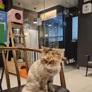 노아동물병원 이미지