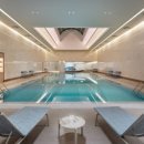 롯데호텔 실내수영장 이미지