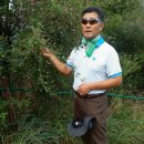 제주진도 이미지