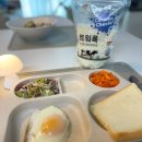 다이어트에 도움되는 고단백질 코티지치즈로 초보 다이어터가 시작하는 건강한 식단조절