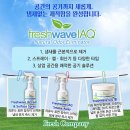 정유컴퍼니