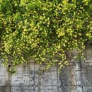 덕월길 | 순천 향토 흑염소 맛있어서 두 번 온 후기