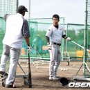 우바라기