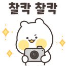 선일목장2 이미지