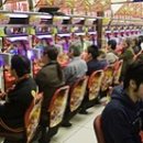 커스텀 샐러드 이미지