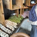 뉴아임툴 | [trip] FUKUOKA 후쿠오카 잘 안알려진 감도 좋은 편집샵과 진짜 맛집