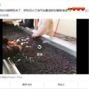 황제농장 이미지