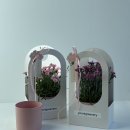 윤이정원