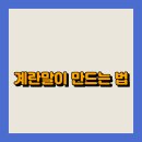 양이랑 말이랑