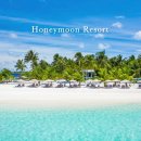 트리니티빌라 | 몰디브 디갈리 신혼여행 허니문리조트 계약 후기 (+추천인 코드 할인)