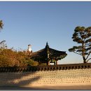 하우스컴