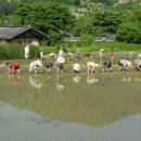 인드라망생활협동조합