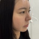 파시스튜디오 | [공지] [내돈내산] 킨텍스 일산속눈썹펌 정착! '뷰티드플로르' 속눈썹유목민 찐만족 후기