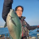 피쉬헌터 | 제주도 서귀포 벵에돔 선상낚시 2월20일 후기!