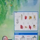 야루정 네이버블로그