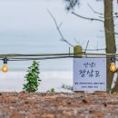 장삼포민박 이미지