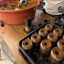 충일농장 | 다이나믹 음성