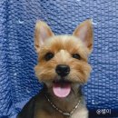 서창사랑동물병원 이미지