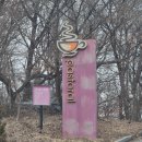 산성 | 와플 맛집, 베이커리 맛집 행주산성 파스토랄 방문 후기