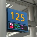 동방마트 | 상하이 1-2일차(점도덕, 홍쿠이지아, 동방명주 야경, 우캉멘션, 팝마트)